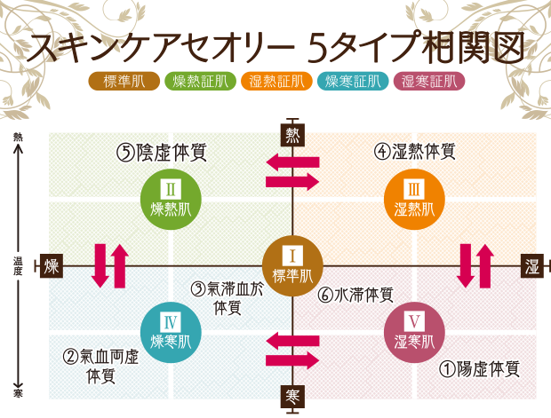 スキンケアセオリー5タイプ相関図