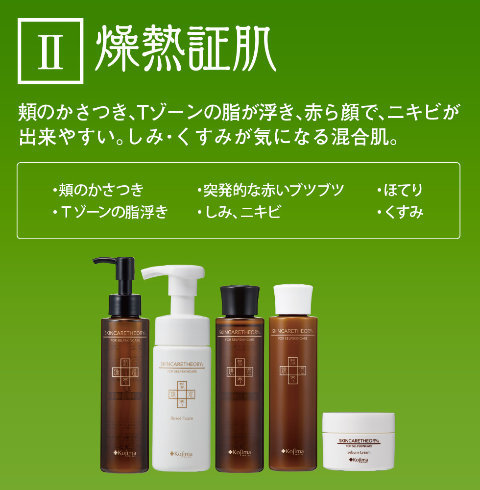 Ⅱ 燥熱証肌